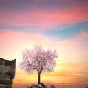 Un mundo en transición