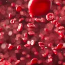 Jesús dio su sangre por usted