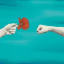 Siete maneras de amar a nuestros enemigos