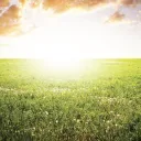 Cómo dejar de preocuparse por el fin del mundo