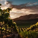 Para ese entonces, ya se habían almacenado la cebada, el trigo y la uvas; por lo que era un momento de gratitud y regocijo.