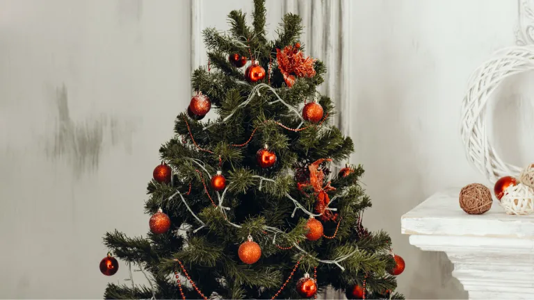 El árbol navideño viene del paganismo.