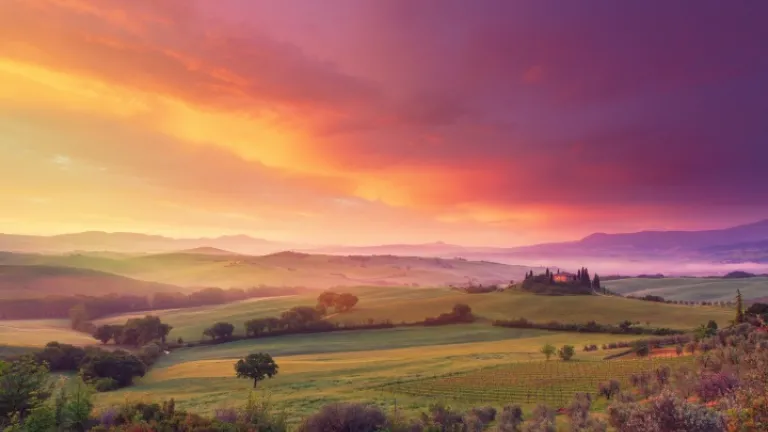 El Milenio y la paz en la Tierra