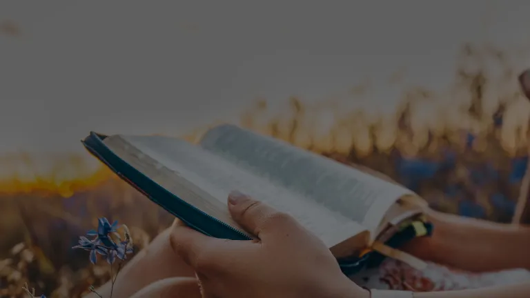 Woman reading bible in a field