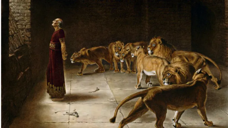 Daniel es protegido de los feroces leones por Dios. En Hebreos 11:33 dice: “por fe… taparon bocas de leones” al referirse a este incidente.