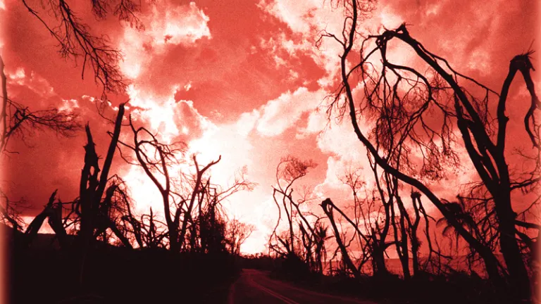A series of plagues will strike humanity’s life-support system— earth’s environment. Much of the planet’s vegetation will be destroyed and its water poisoned. Burnt trees along the side of road with a red sky.