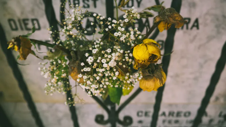 A gravestone and flowers.