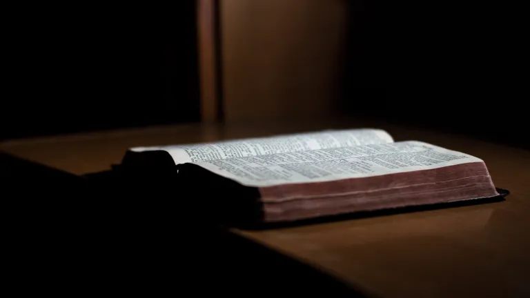 An open Bible.