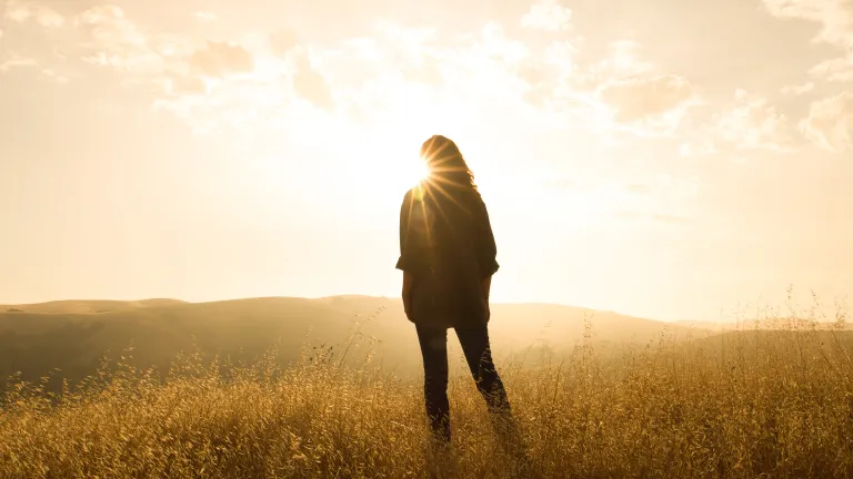 A woman looking at the setting sun.
