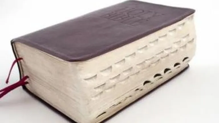 Cómo encontrar cosas en la Biblia