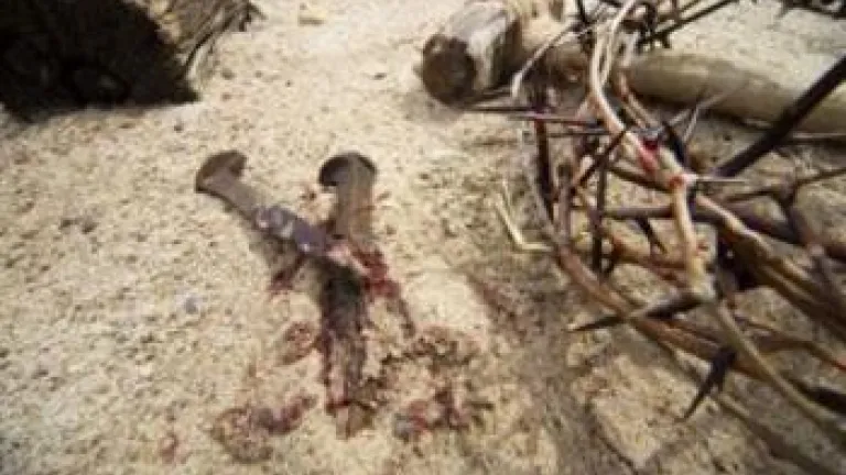 ¿Por qué fue crucificado Jesús?