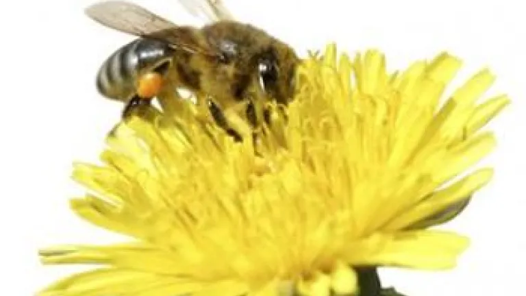 Pruebe que existe Dios, incluso sin la Biblia