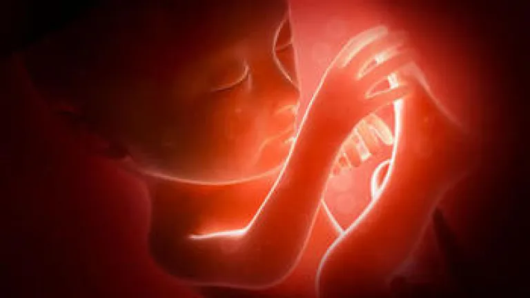 El debate sobre el aborto: ¿Qué nos dice Dios? El debate sobre el aborto: ¿Qué nos dice Dios?