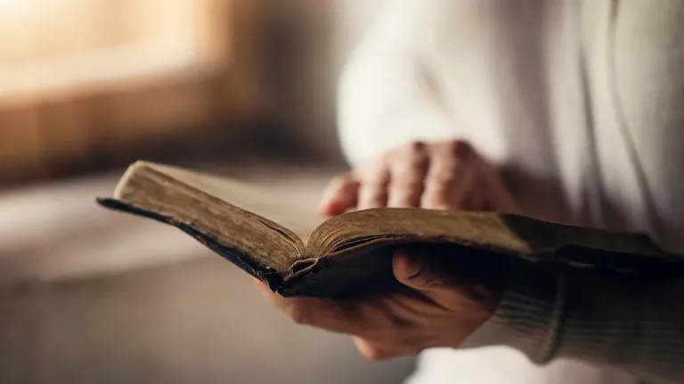 A person holding a Bible.