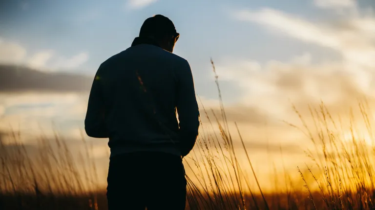 A person in a field at sundown.