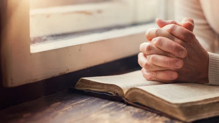 A woman reading a Bible by a window.
