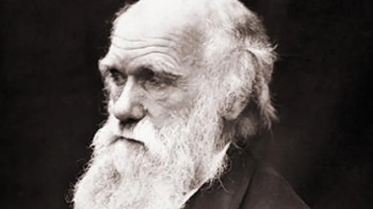 El secreto fatal de Carlos Darwin