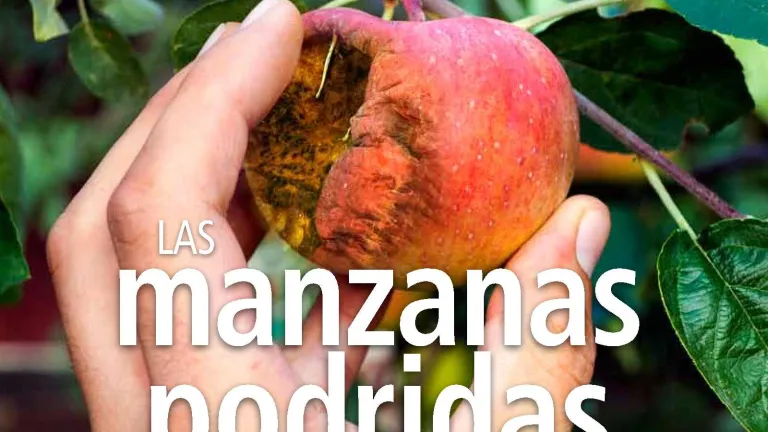 lasbn-ene-feb-2014-plano