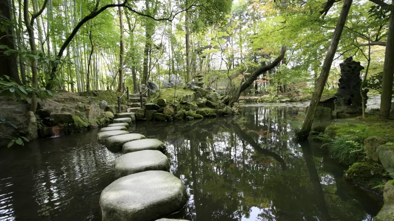Peldaños de piedra sobre un pequeño estanque.