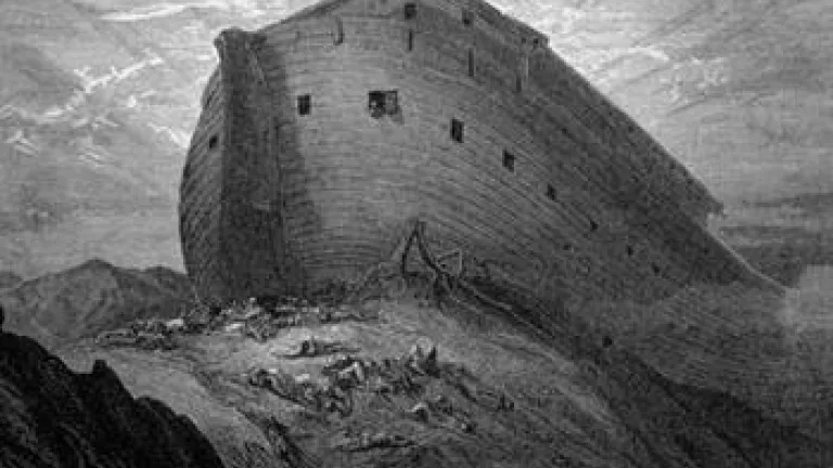 Noé: El resto de la historia