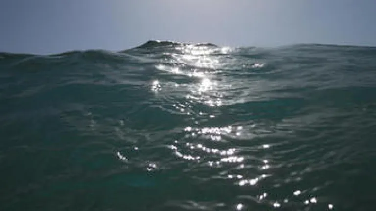 ¿Noé de la película, o Noé del Libro?