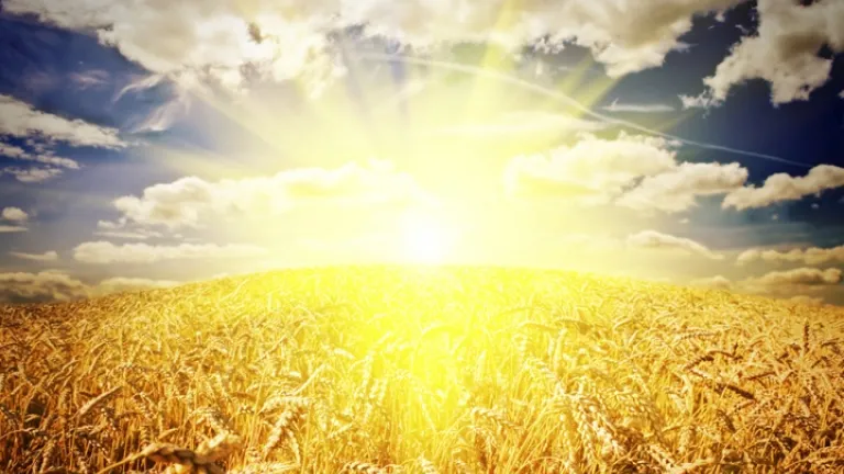 Jesucristo en los festivales bíblicos