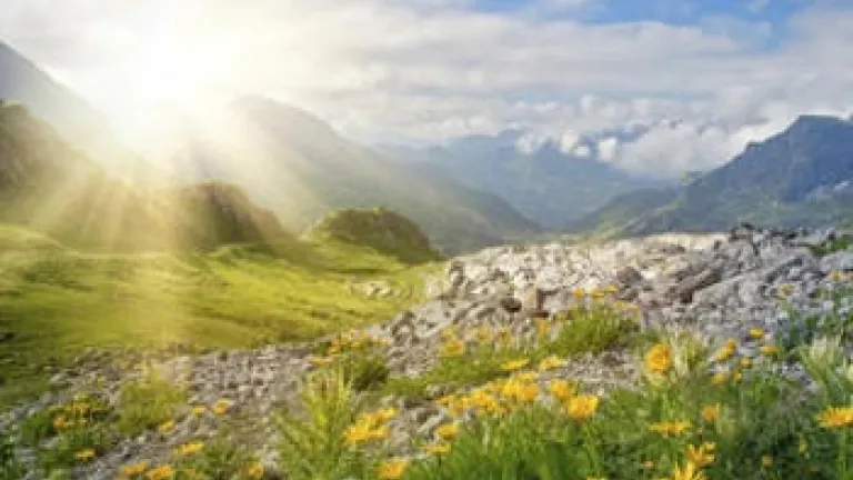 Tiempos de refrigerio