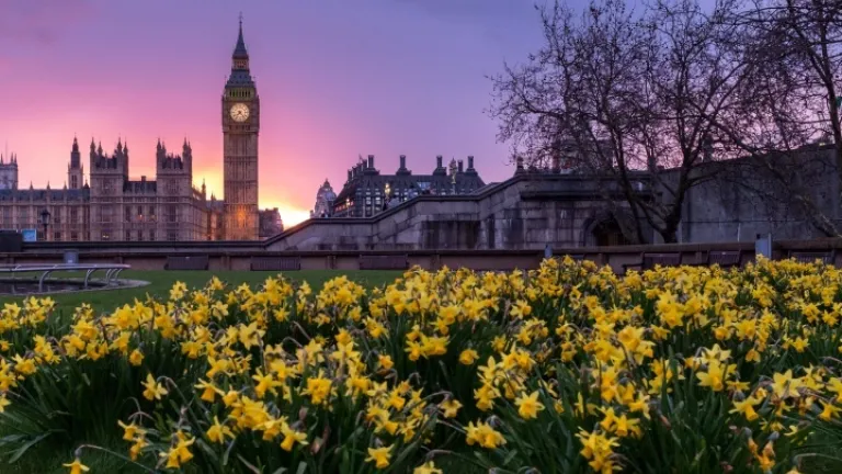 BREXIT: ¿Qué significado tiene para usted? BREXIT: ¿Qué significado tiene para usted?