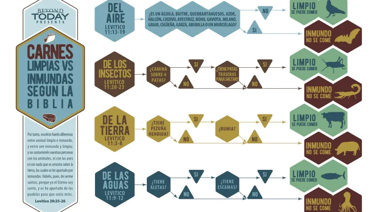 Infografía: Alimentos limpios e inmundos según la Biblia Infografía: Alimentos limpios e inmundos según la Biblia