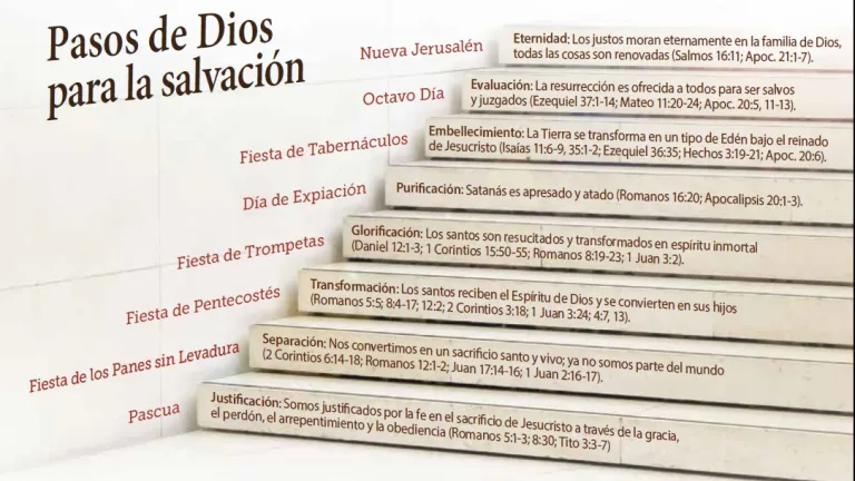 Pasos de Dios para la salvación