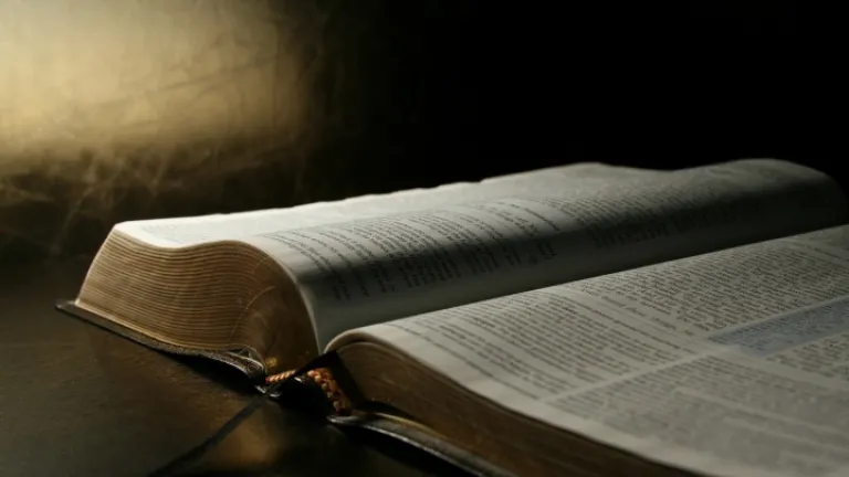 biblia-portada