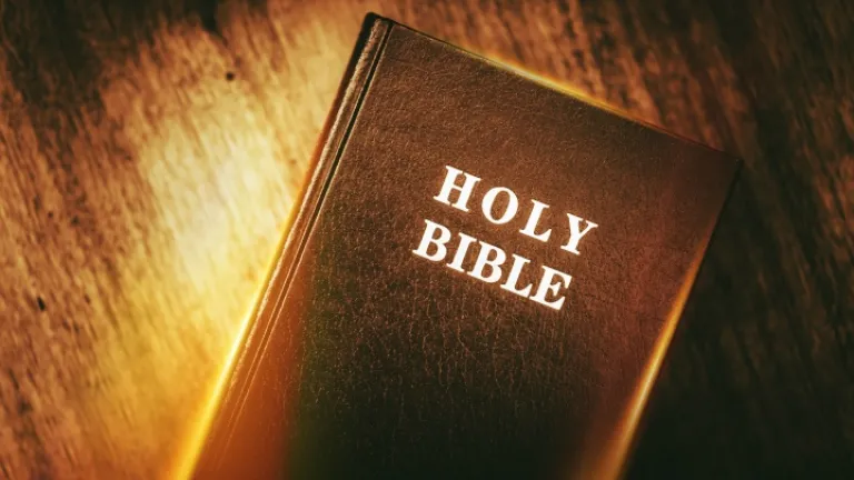 ¡La gente se niega a reconocer la veracidad de la Biblia porque hacerlo conlleva la obligación de vivir por lo que ella dice! confianza-en-la-biblia