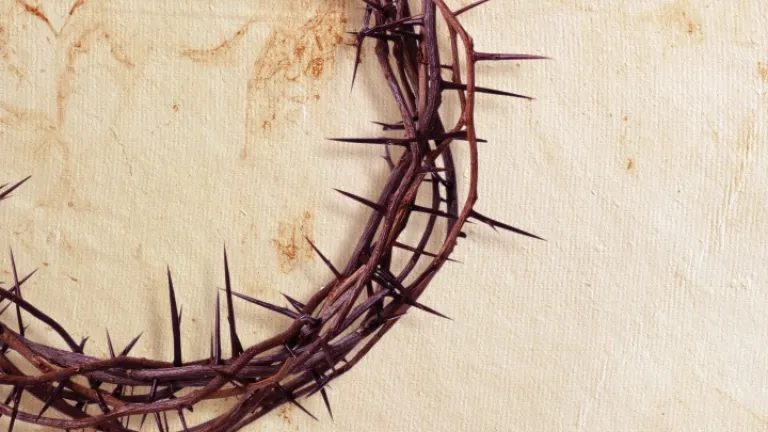 La Pascua y toda su historia y simbolismos, tienen en la actualidad como eje central al sacrificio de Cristo y su subsecuente ascensión al trono de Dios para servir como nuestro Sumo Sacerdote e intercesor. cristo-el-verdadero-cordero-pascual