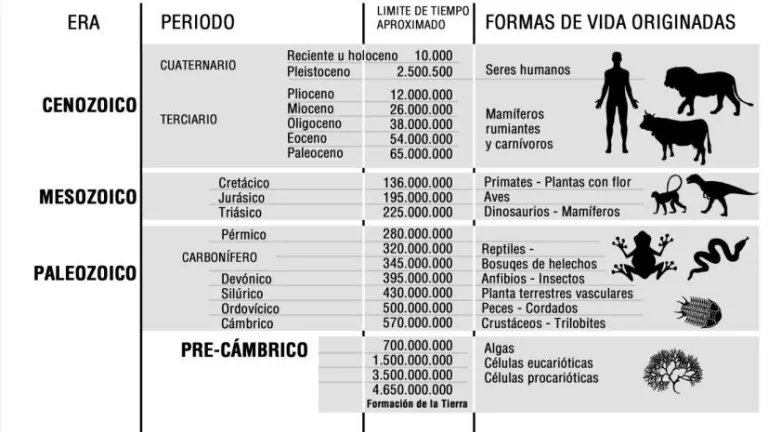 Escala geológica relacionada del periodo homínido hasta el hombre con sus períodos Paleozoico, Mesozoico y Cenozoico. Escala geologica