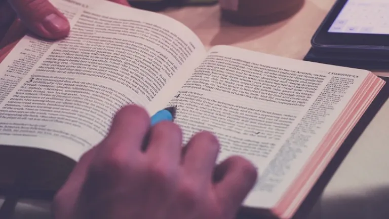 La Palabra de Dios nos ofrece dirección para los momentos cuando nos apartamos de su camino de sabiduría. Pida sabiduría y observe los frutos que provienen de esa petición. La Palabra de Dios nos ofrece dirección para los momentos cuando nos apartamos de su camino de sabiduría. Pida sabiduría y observe los frutos que provienen de esa petición.