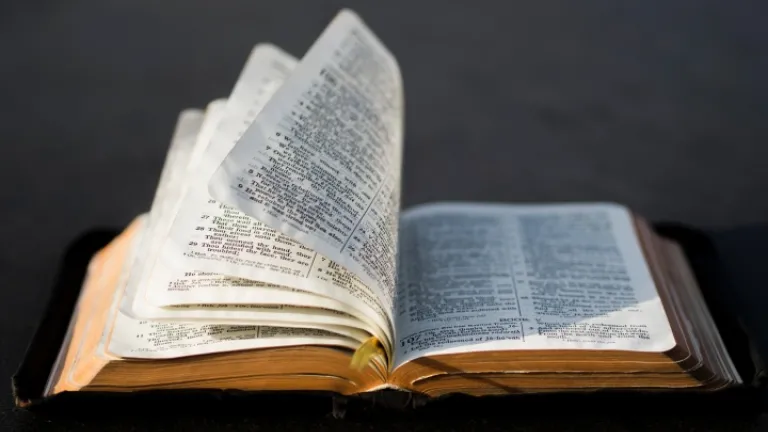 ¿Qué revelan las Escrituras sobre el origen del Hijo de Dios? El desafío de Dios a la Trinidad