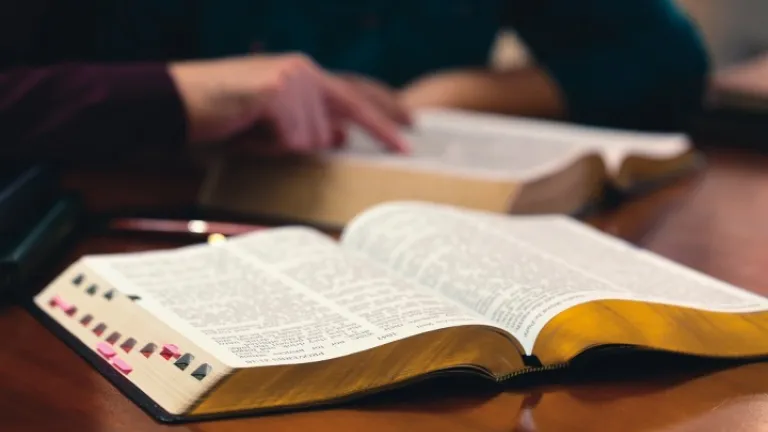 Si la fe protestante afirma que se basa exclusivamente en las escrituras y en Cristo ¿por qué rechaza los días santos que Cristo y sus discípulos observaron y enseñaron?