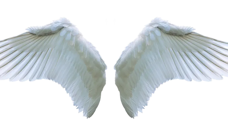 Curiosamente, la Biblia muestra que también hay diferentes clasificaciones de ángeles — ¡no son todos iguales!