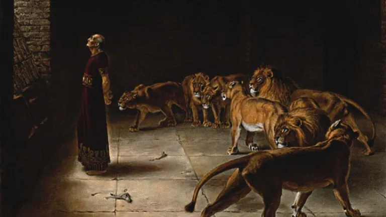 Los ángeles brindaron protección física al profeta Daniel, cerrando la boca de los leones que de otra manera lo habrían matado.