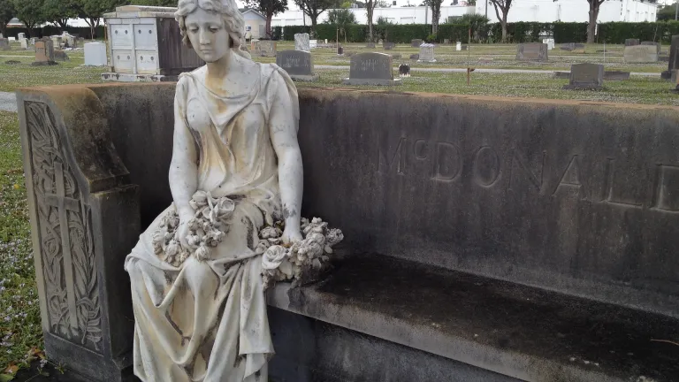 Al fin de cada tres años sacarás todo el diezmo de tus productos de aquel año, y lo guardarás en tus ciudades. Y vendrá el levita, que no tiene parte ni heredad contigo, y el extranjero, el huérfano y la viuda que hubiere en tus poblaciones, y comerán...