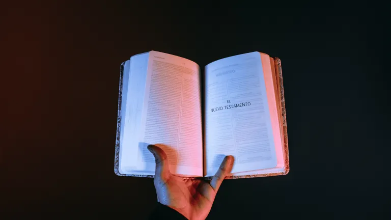 A pesar de que Pablo no es el principal contribuyente de los escritos del Nuevo Testamento, probablemente sea el más citado. A veces parece que la mayoría de las citas bíblicas usadas en el sermón cristiano promedio, provienen de los escritos de Pablo. A pesar de que Pablo no es el principal contribuyente de los escritos del Nuevo Testamento, probablemente sea el más citado. A veces parece que la mayoría de las citas bíblicas usadas en el sermón cristiano promedio, provienen de los escritos de Pablo.