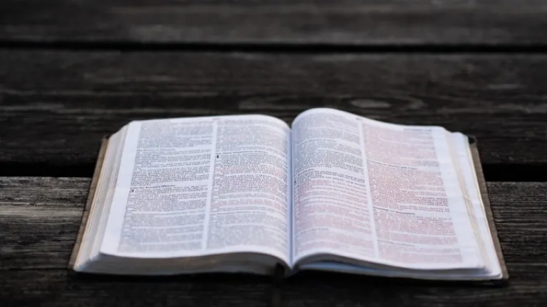 La conclusión bíblica es que Jesucristo fue el agente de la creación a voluntad del Padre, y que tanto el Padre como Cristo estuvieron involucrados en la planificación y el diseño del universo.