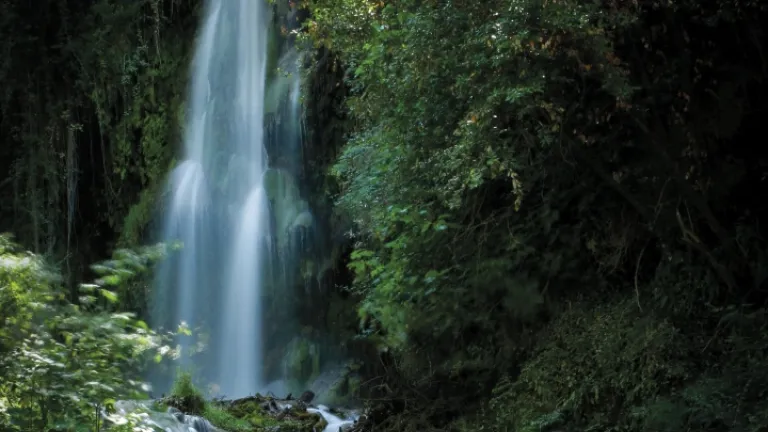 Quienes hemos recibido el Espíritu de Dios después del arrepentimiento y el bautismo, podemos utilizar su poder en nuestros corazones y mentes para generar frutos espirituales.