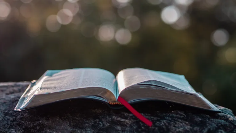 En las Escrituras, cada situación que involucra rapto o asalto sexual, se presenta como un acto negativo. Dios no justifica la violencia sexual, la prohibe categóricamente. Él ama a sus hijos y tiene misericordia de aquellos que han sido afectados por est