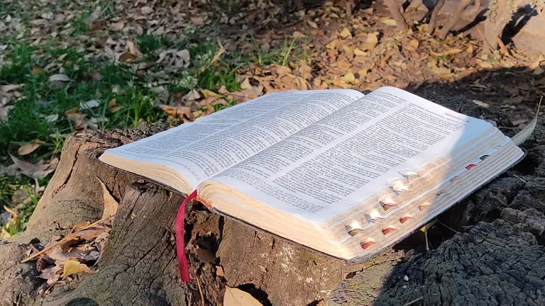 Las tres rondas de debates de los amigos de Job