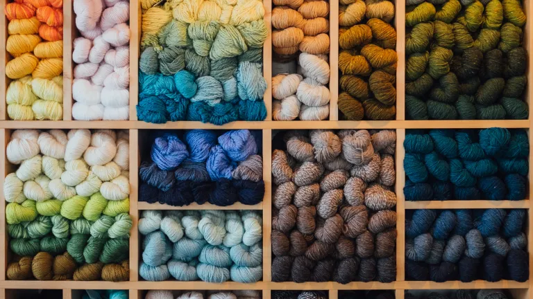 El Orden y la Organización