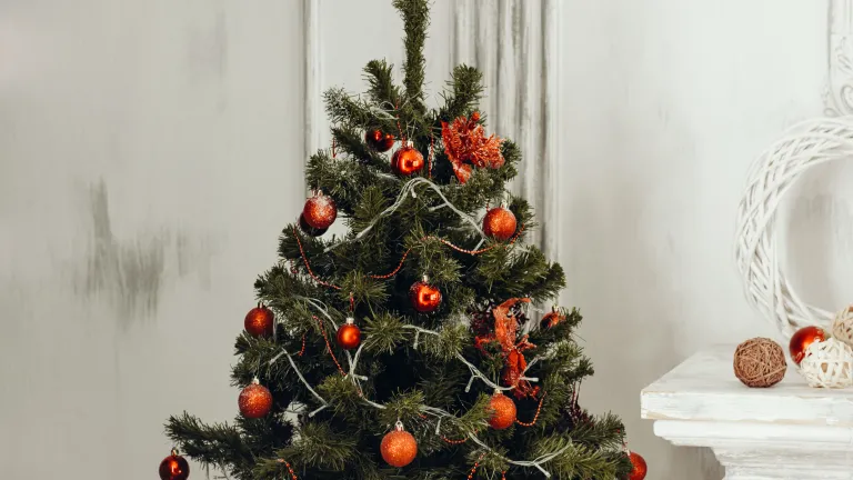 El árbol navideño viene del paganismo