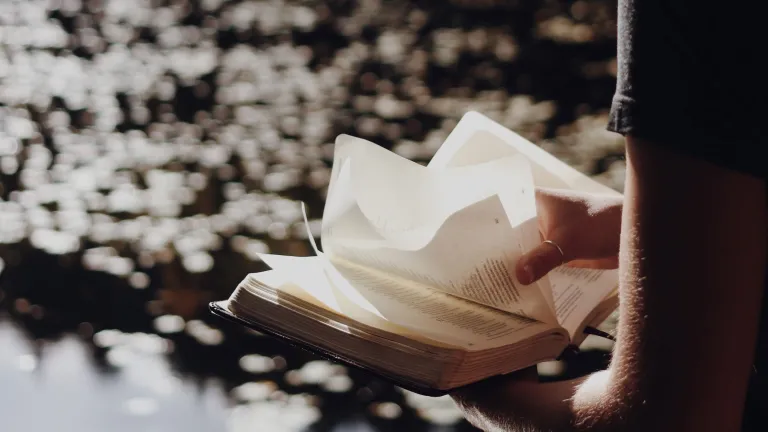 ¡Mire estos ejemplos y manténgase firme con estas palabras de esperanza mientras se enfrenta a la vida en estos tiempos difíciles!