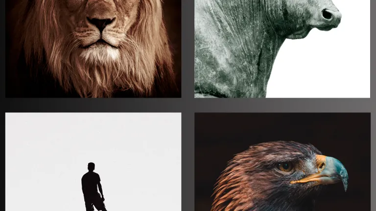 Cristo es representado desde distintas perspectivas en cada uno de los Evangelios