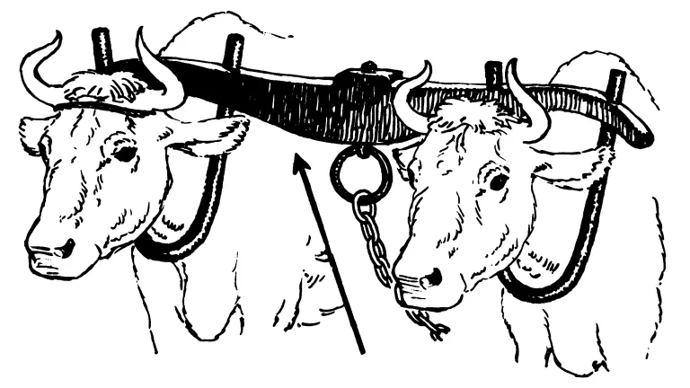 El yugo pesado,  la ley de Moisés según el judaísmo